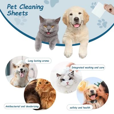 İyi fiyat Ekstra kalınlıklı evcil hayvan temizlik çarşafları İç mekanlar için tek kullanımlık köpek vücut yıkama çarşafları çevrimiçi